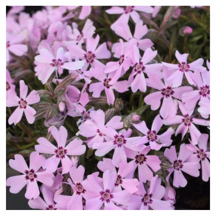 bcca2a5890f47fdf92fb18c4b847334e