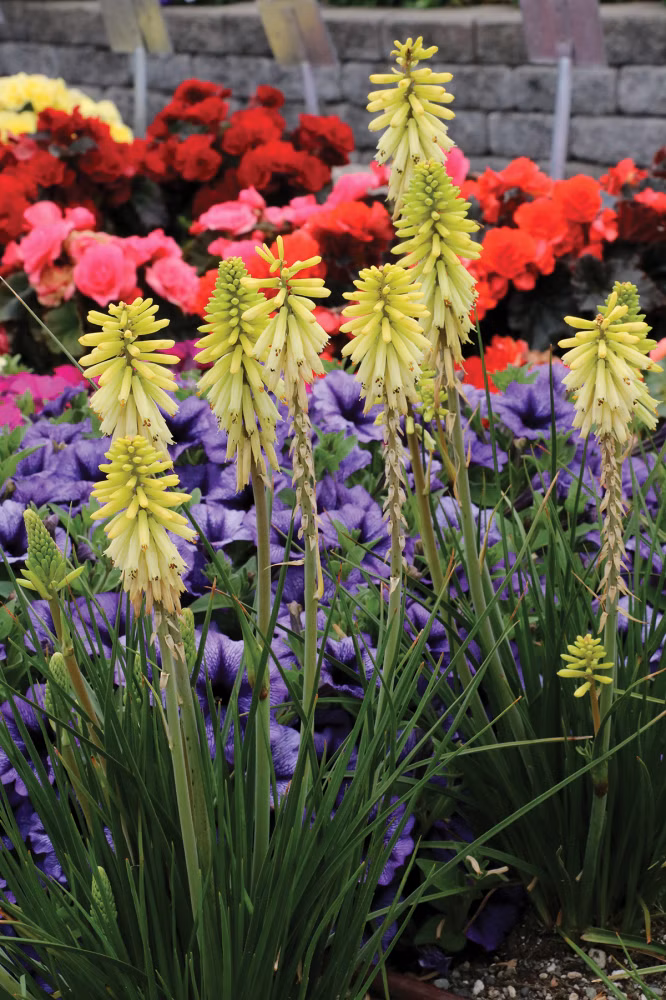 bccaa604c27d3faa2f53b96fe153da8f