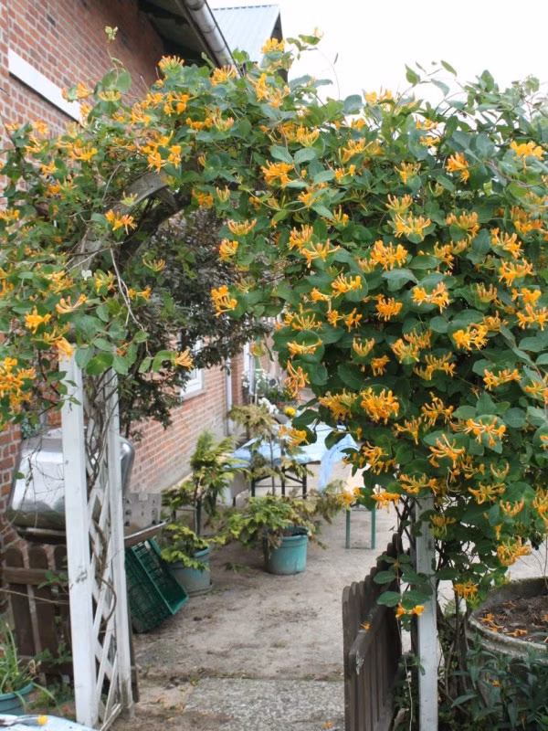 bcd858f3605176bcf3cd4a5d2b659ef5