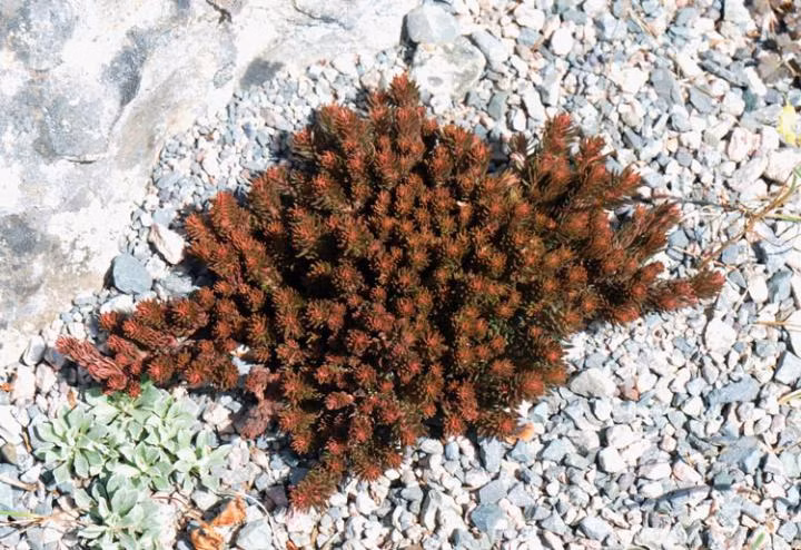 bcee301275a1ac50cc19d1186f26009d