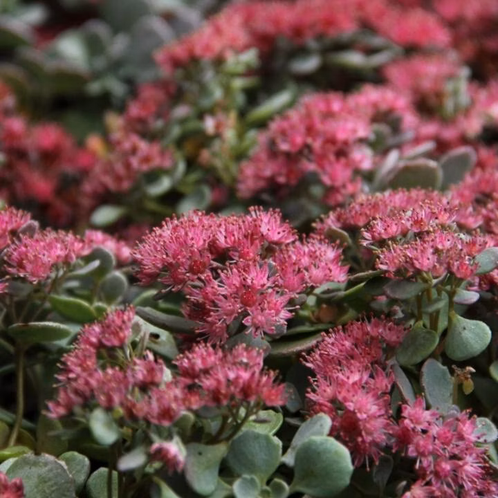 bd0a263016b3790955ba95a6ec2be7a9