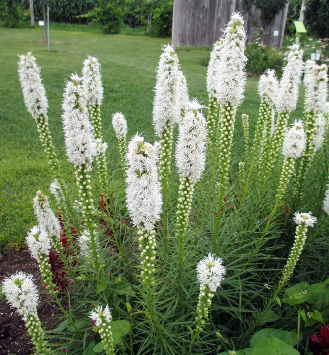 bd10266c22b4f1ab1565ba3d86a71cad