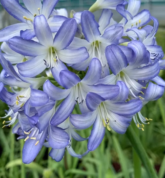 bd51442089a759b5043b91deda5bb753