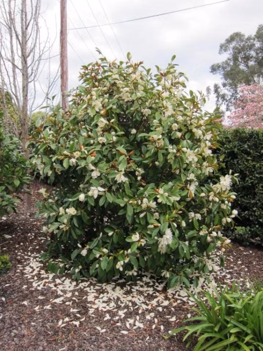 bd877ab788f60fc563554989da92f11e