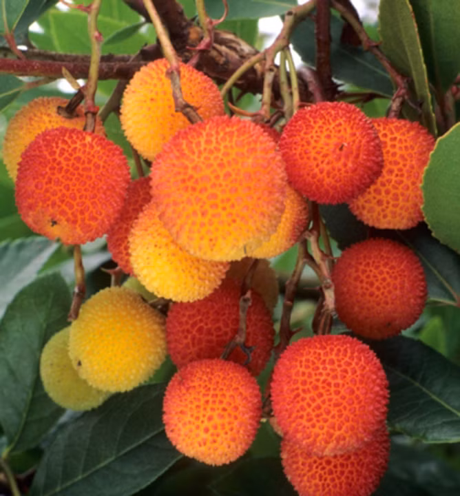 bd94cceaf85953b0387d74d8bff61725