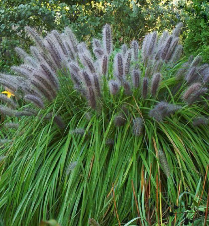 bd97b4ecb93957936e44fb5ff873eb2d