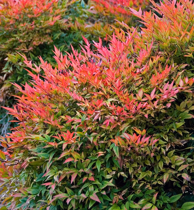 bdd91ad210e1e0b22caa274ab06ad2e1