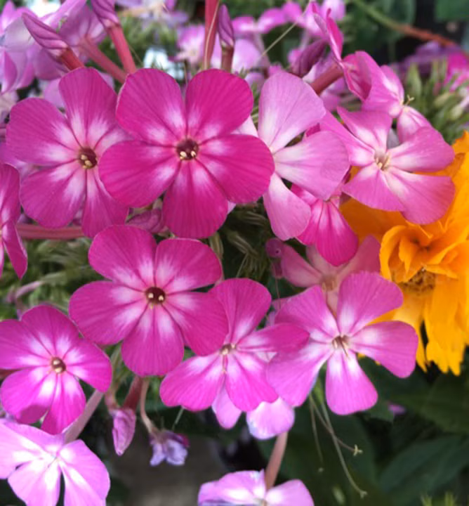 bde045d3705ebe86e5698c2fd0deaa45