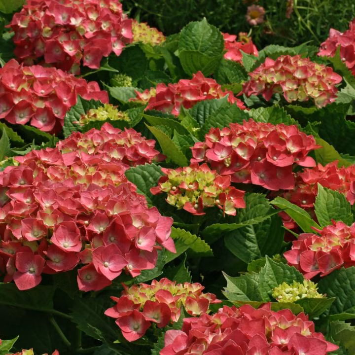 be0fe9be69e28b3e5db95a800066d3af