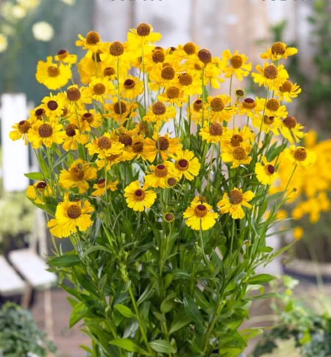 be4af9c08a8827489a93f9dfcb3806de