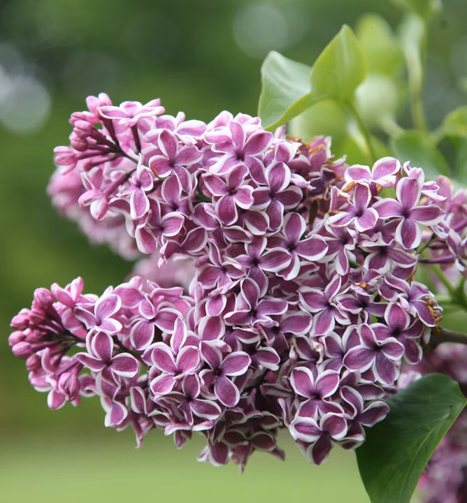 beb2791d6637b977a6c7e9066c06531f