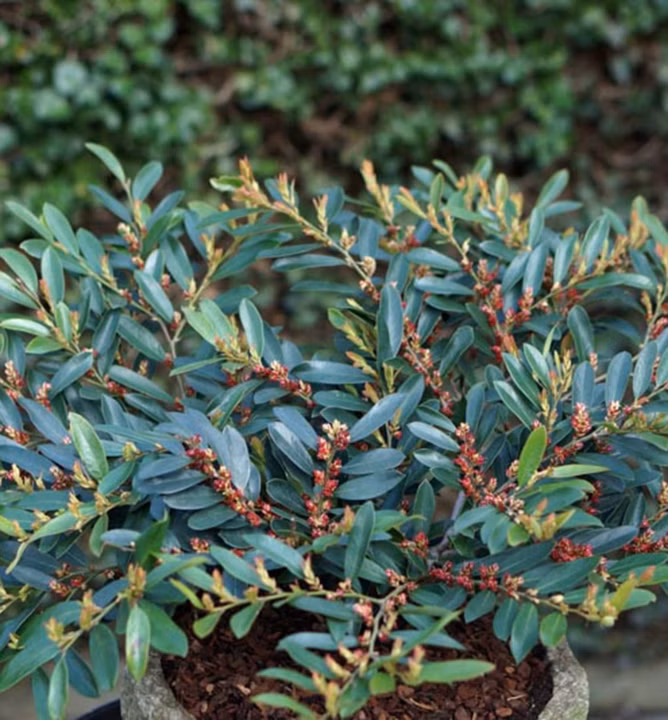 becddd330e8604280fdc0dd6e2f84076