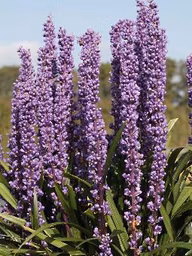bee4a10d27087886cdc12ebb3aabba2c
