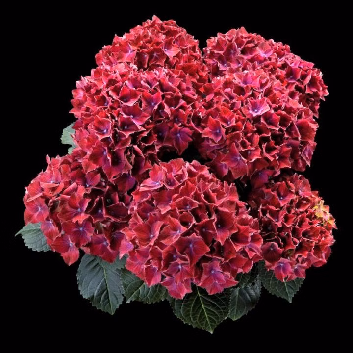 bf156e7a155fcf40a0c069ce2b2127f1