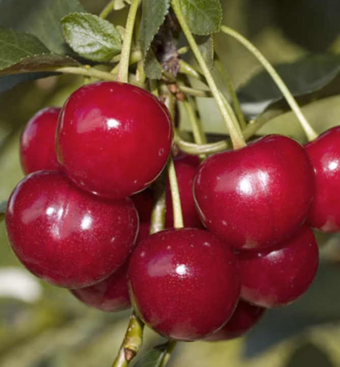 bf413e76611708b36c0a27b8d6007354