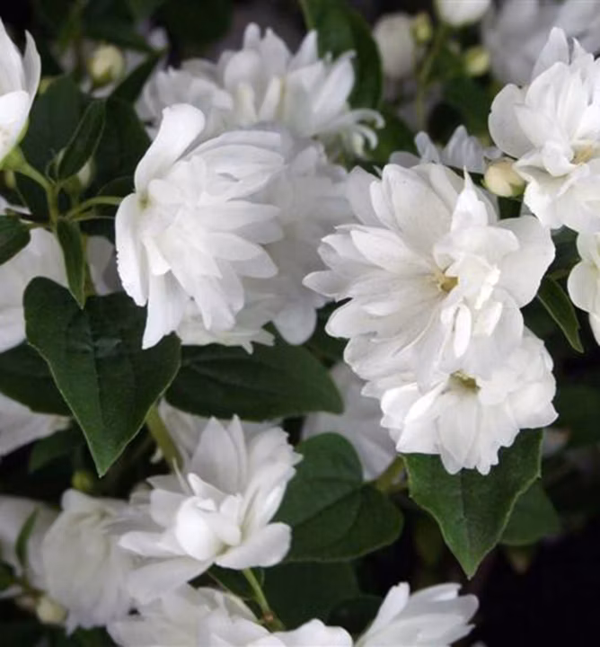 bf627b09d495f3994f062c6003f6b9c1