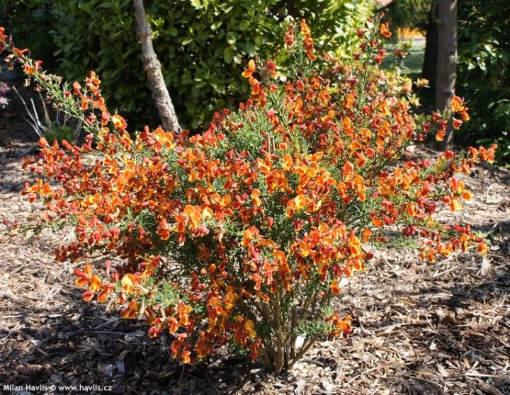 bf74e55bd9347badf0c6bf2b60c14a1a