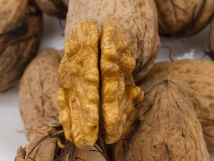 bf7ee72d438cd593a0cd1291b5ac3e4f