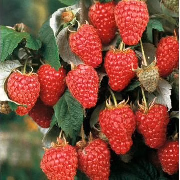 bf8907864573475960e8a5cfe19900af