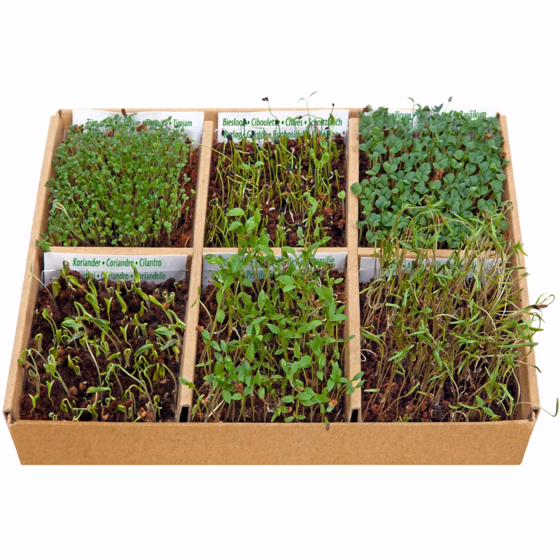 bf8ac625b9f249fd5d0f7bb5843dc8ec