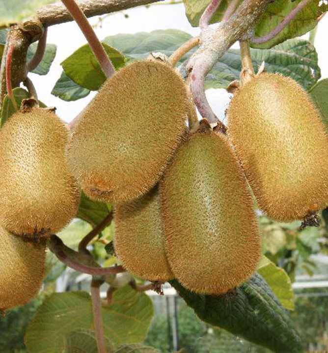 bf8b2c854f53b5594d7217fd948ffb9b