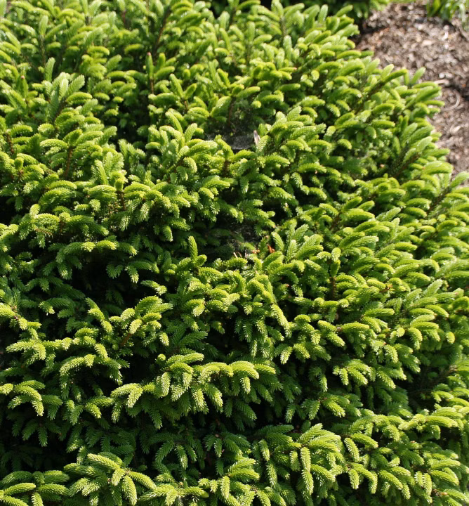 bf8dd684a13f76e2aa851b5672849ca3