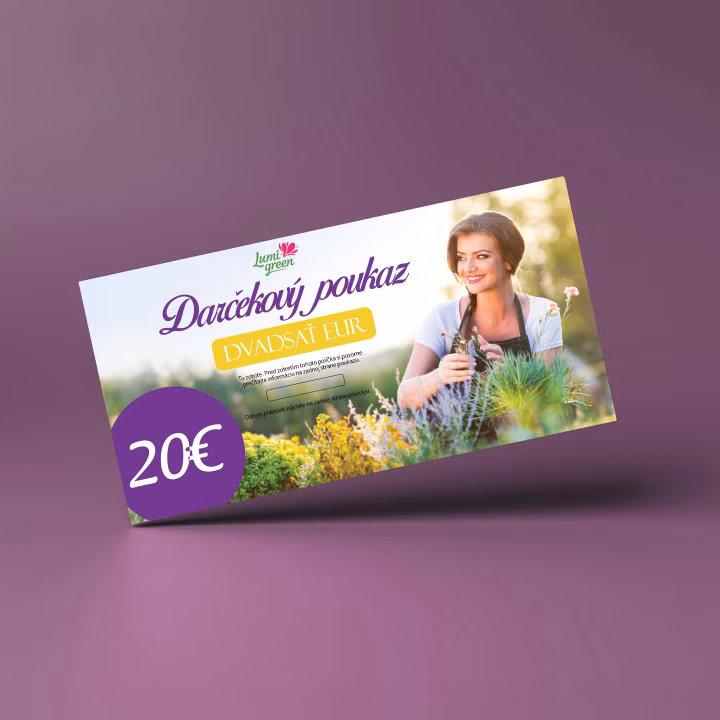 c0310d33939f9f7840934d5b3aded7e7