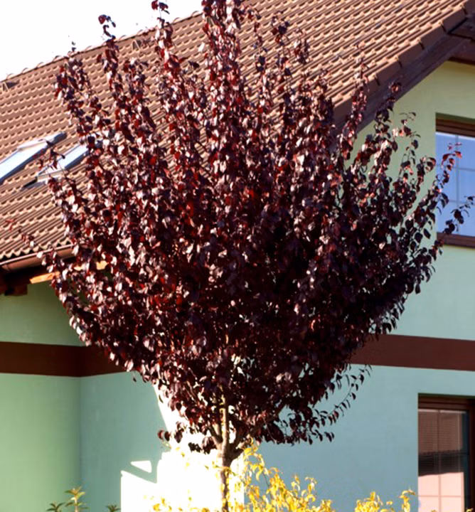 c04852dc5b2c8674b945aacec83dd62e