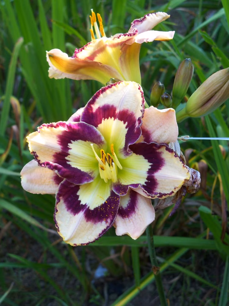 c04cfca4ae5b21df987df330c7876a38