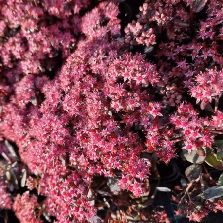 c05861c8ff4935f5f5ea1497c373eb0d