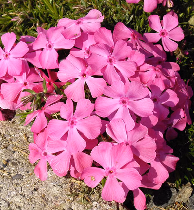 c0a203e2b00cfaaa1b6e6b8b71702b9a