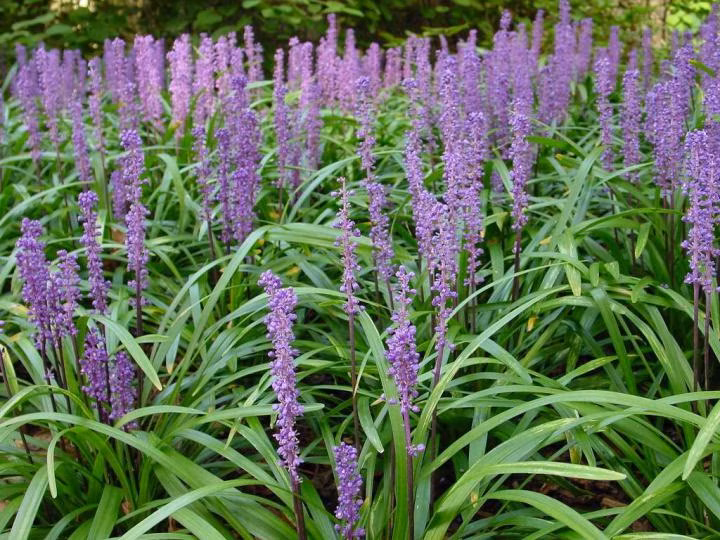 c0c9829206ac95153d4988d72381f89e