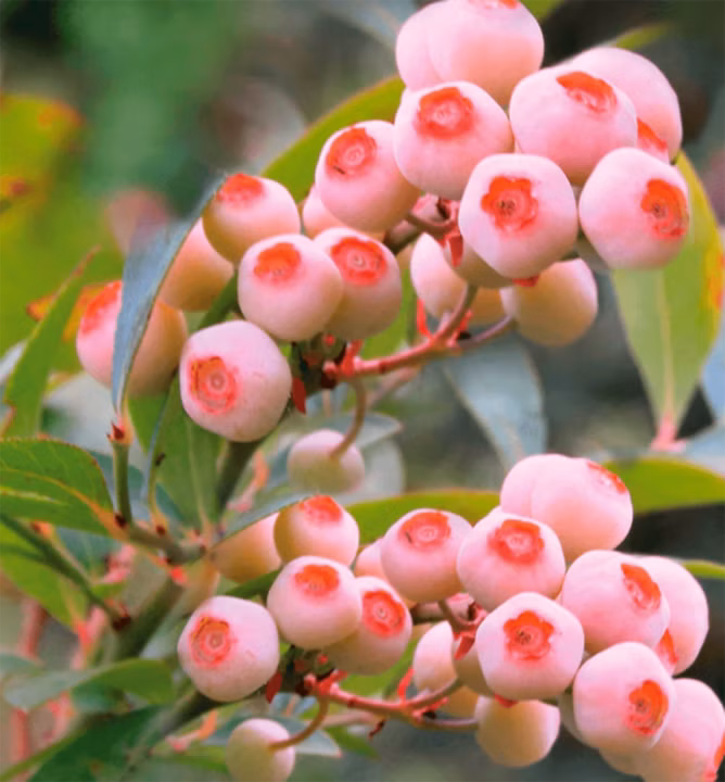 c0f5c43abb744e17096d24e0e065ee53