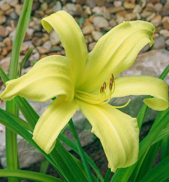 c13a8a8dca81ea6d26ab34c2b7f7e58e