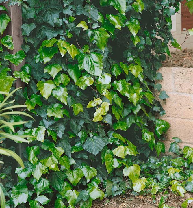 c17f3f33d29fb7afcf61e33b045f0759