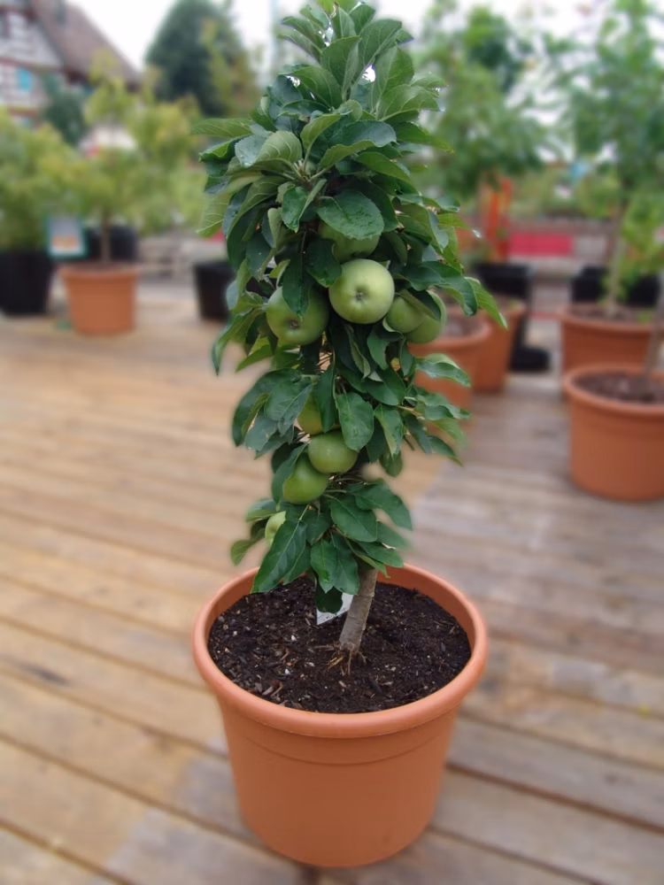 c1aa9a697d56c33d775b574a9449c745