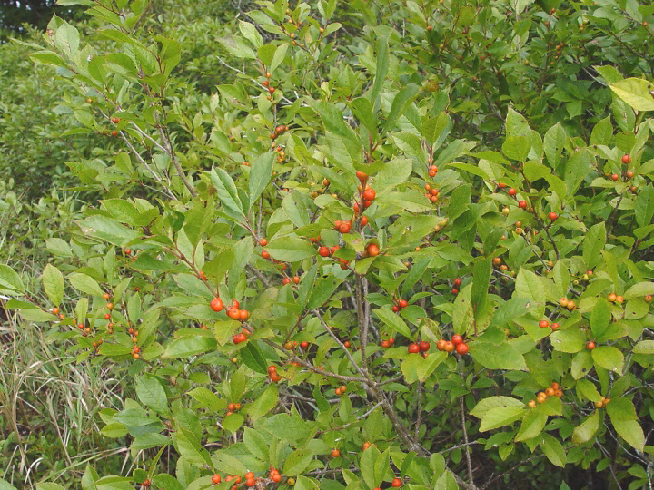 c1c83e00e283314560c715b6bca8f9c7