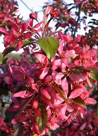 c2081b34cc4c783981e7f7be5181b0d3