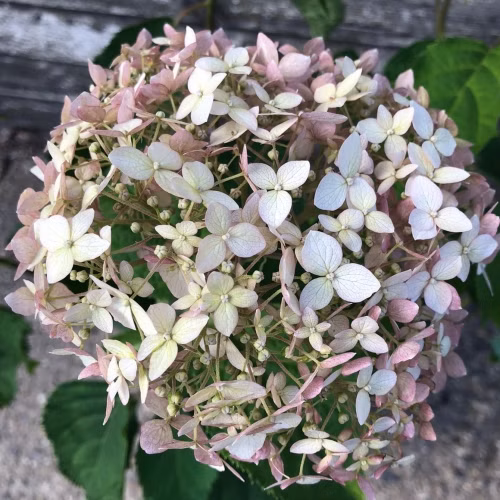 c250a8cd0a07c093b86b27bc58125aab