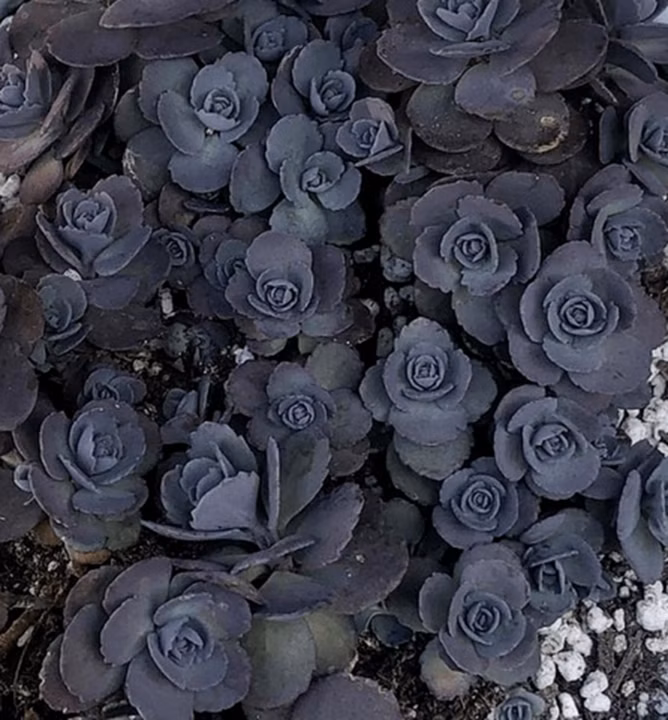 c26097110924f6d2c169740aa4bf8e63