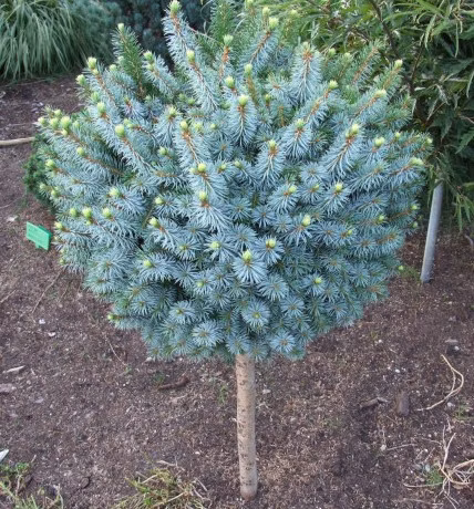 c2b0c46ba39e5cead0a66bec67f1ea35