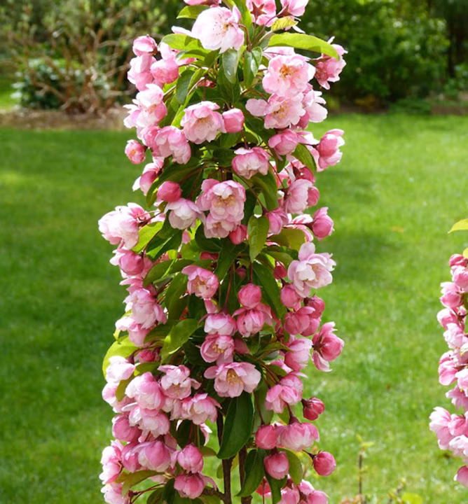 c2b606f04fbe17ed04ce9be9ccbbbd2e