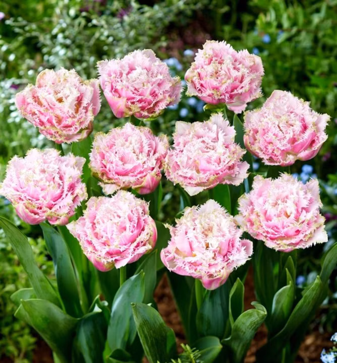 c2cc1ac4c48daf22ce02e05a77523151