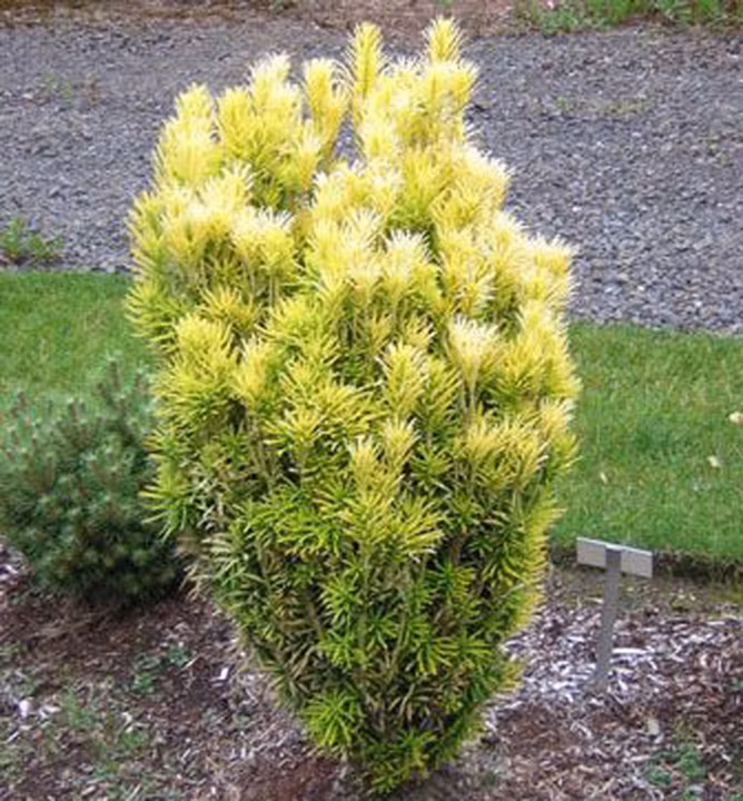 c2d2f8021a439076bb07e6ed8efcbd9a