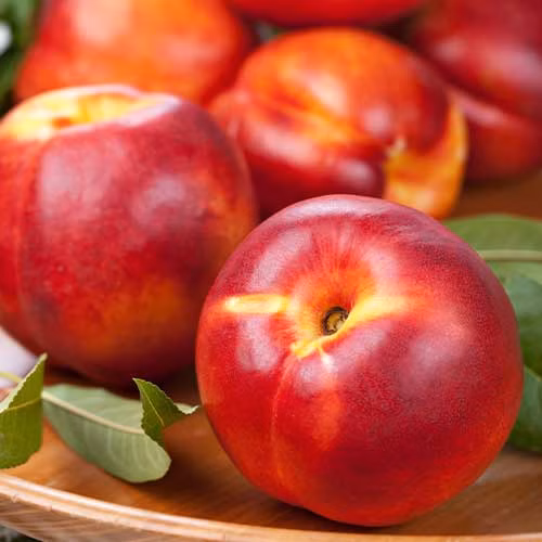 c2f74c19f50e7b1846f753cef3a1942f