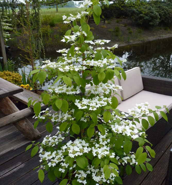 c301504c57bd346b719b553fff19d8be