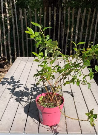 c32091f44f1cbcebd96878755e3b1877