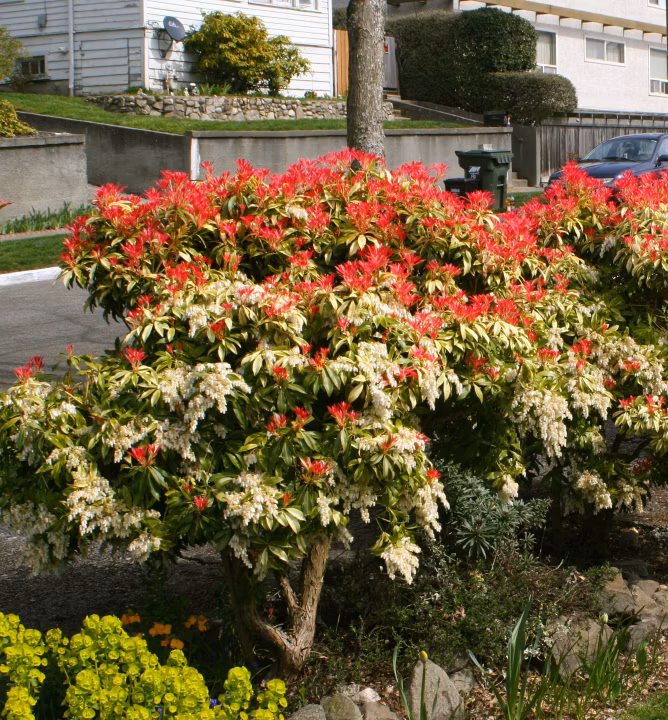 c38aeb06f0268421235d34e479f80215