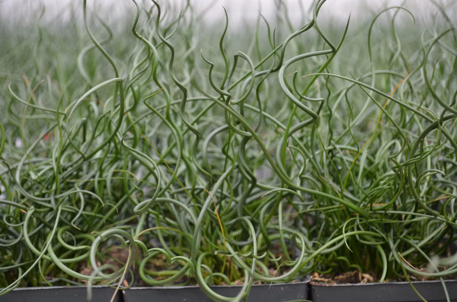 c3a207d3ac5f200362ba27d309f34a40