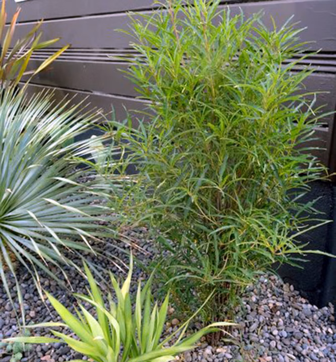 c41ad95cb33cebf01845e7aa9064edbd